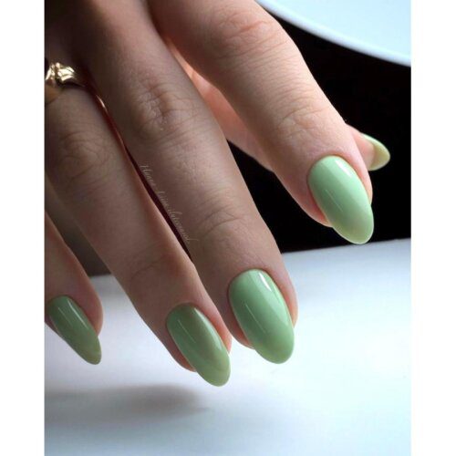 Ritzy Lac BAMBOO 293 - Image 2