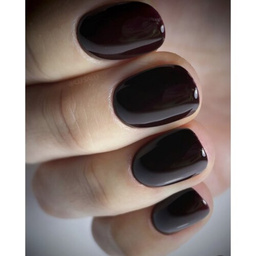 Ritzy Lac MERLOT 85 - Image 3