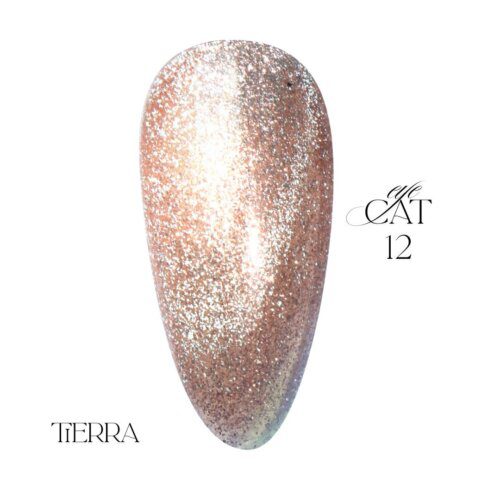 LUXURY CAT EYE GEL POLISH TIERRA 12 - Image 2