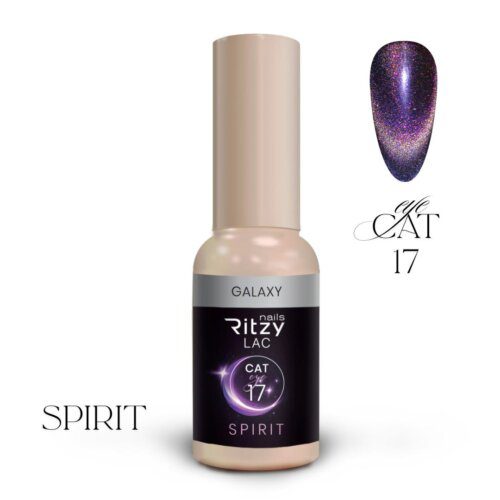 SPIRIT CAT EYE GEL POLISH GALAXY 17 - Image 1