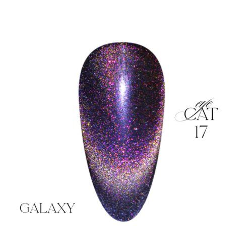 SPIRIT CAT EYE GEL POLISH GALAXY 17 - Image 2