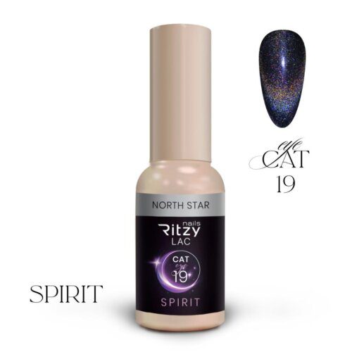 SPIRIT CAT EYE GEL POLISH NORTH 19 - Image 2
